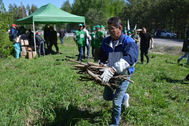Акция «Чистые леса Татарстана» прошла на территории Столбищенского лесничества