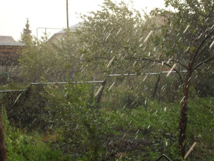 Следующая неделя в Лаишевском районе начнется с дождя и ветра