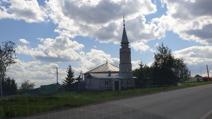 Погода на Курбан-байрам в Лаишевском районе обещает быть отличной