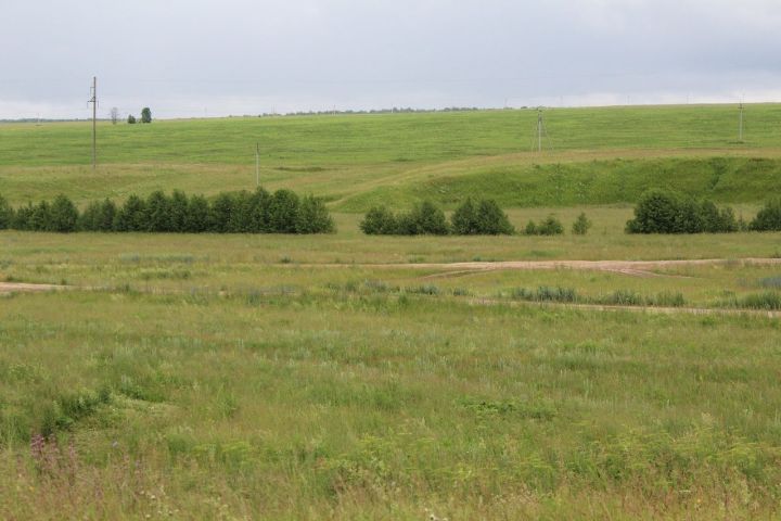 В среду в Лаишевском районе ожидается дождь