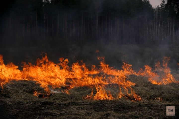 В Лаишевском районе сохраняется пожарная опасность лесов