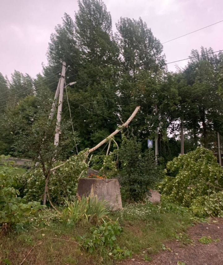 В Лаишевском районе во время урагана на девочку упало дерево