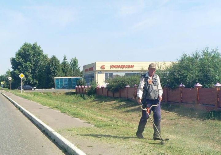 В Лаишеве проходит субботник