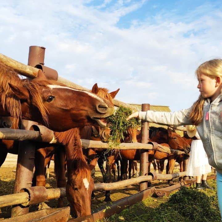 В Татарстане стартует восьмая волна проекта «Школа фермера»
