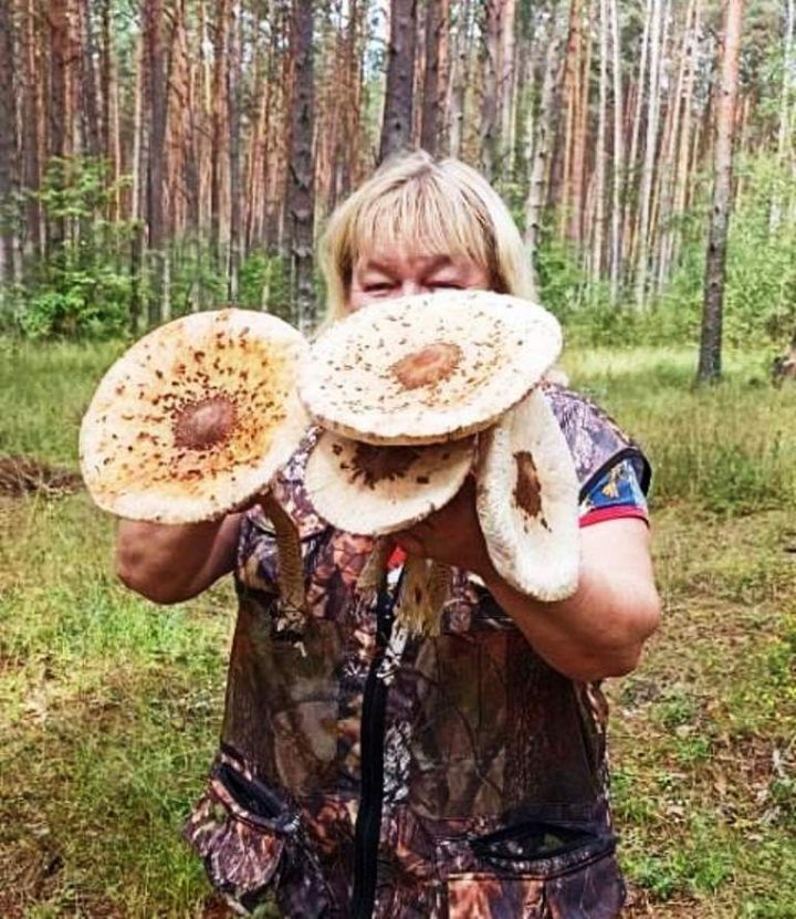 Путешествуем по России: рыбный улов и грибы Калужской области