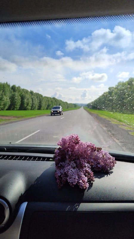 8 августка һава торышы