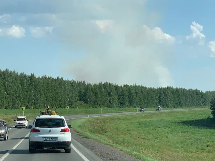 Лаеш районында 7 гектар мәйданда янгын сүндерелгән