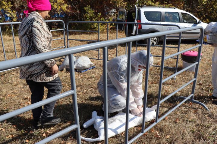 Сегодня в Лаишево прошли республиканские командно-штабные учения по ликвидации очага ящура