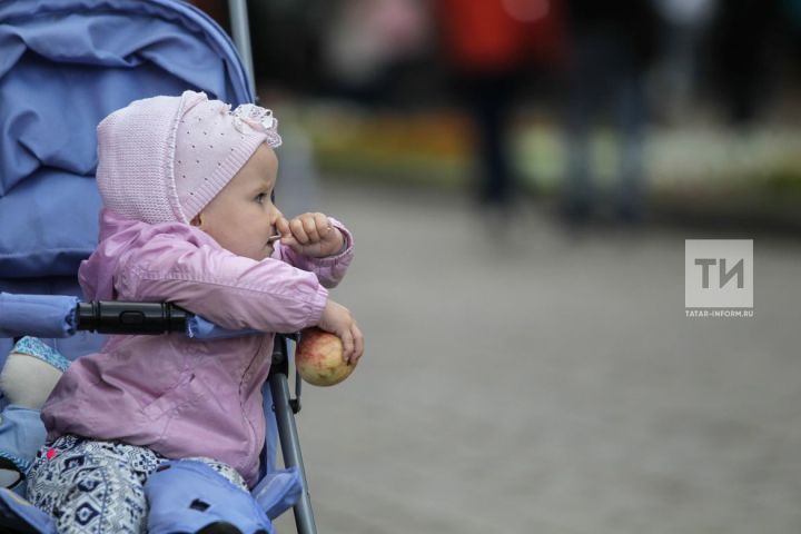 В Татарстане продолжают принимать заявления на назначение единого пособия в новом году