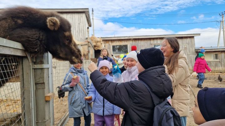 Школьники Лаишевского района познакомились с экзотическими животными