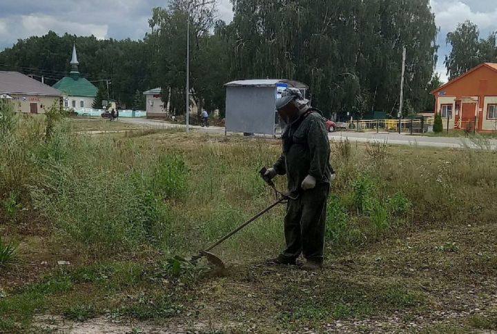 Инициативные жители Лаишевского района вносят свою лепту в благоустройство