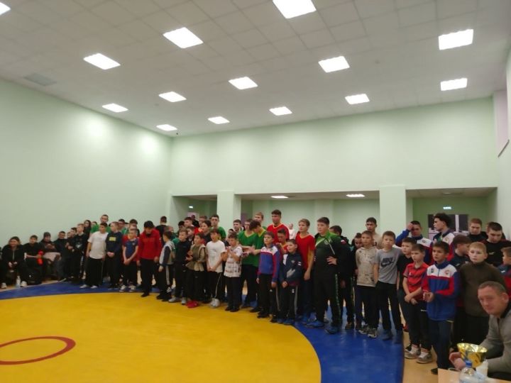 Спортсмены Лаишевского района привезли несколько медалей по корэш из Мамадыша