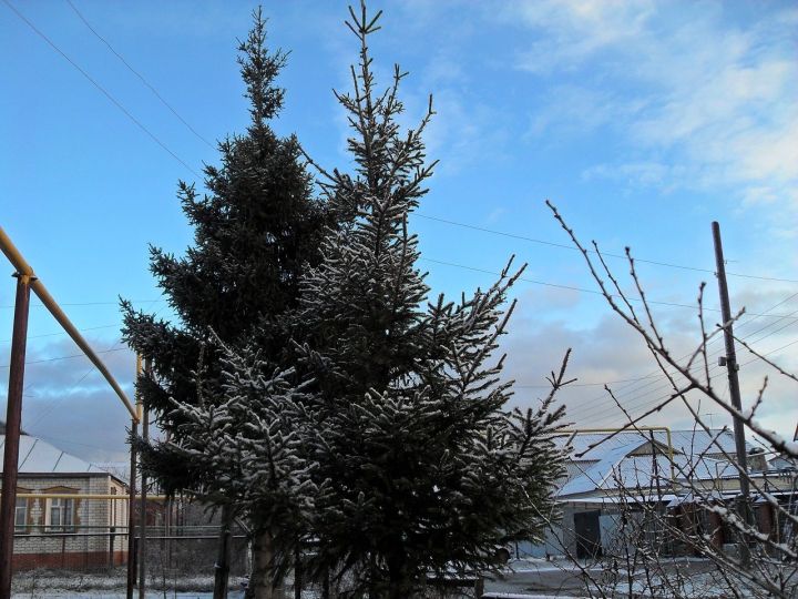 В ночь на воскресенье в Лаишевском районе похолодает до минус 20 градусов