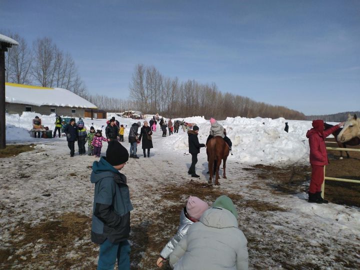 В Лаишеве конный клуб «Рассвет» проводит Масленицу