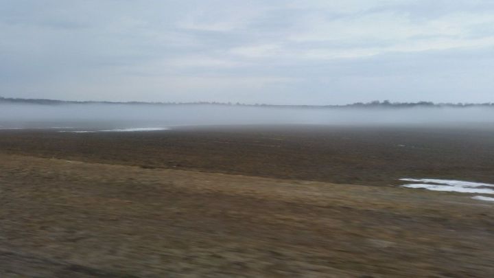 Лаишевский район сегодня накроет туман