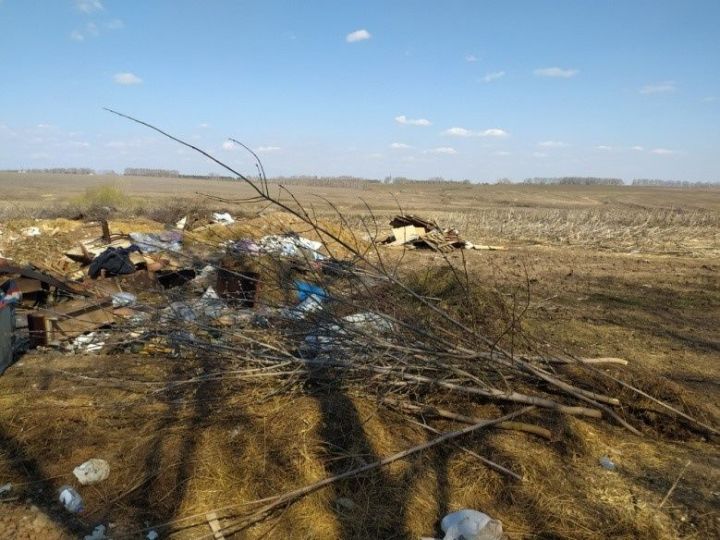 Россельхознадзор выявил в Лаишевском районе свалки на сельхозземлях
