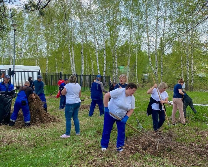 В Лаишевском районе на субботник вышли сотрудники Молодежного центра «Волга»