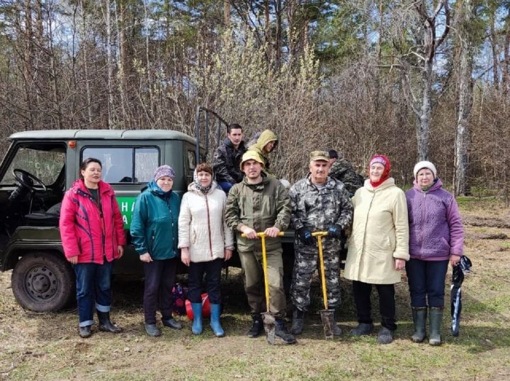 В Лаишевском районе продолжают сажать молодые деревья