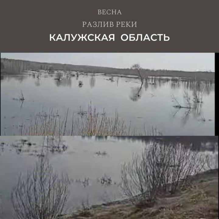 В Калужской области уже разливаются реки