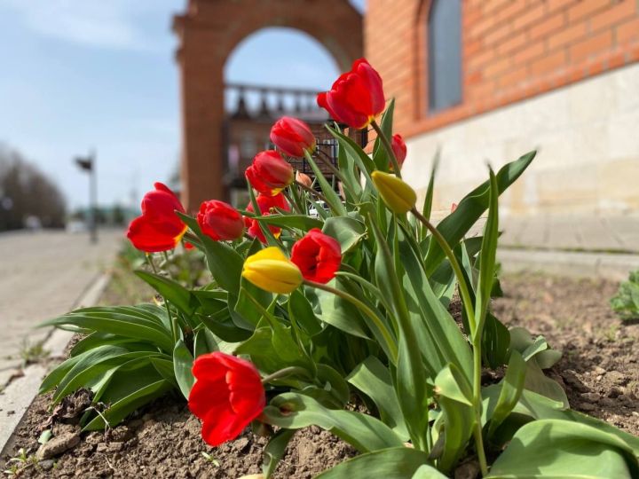 В Лаишевском районе стартовал сезон открытия парков и скверов