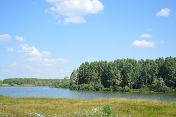 Погода: ночью в Татарстане обещают заморозки