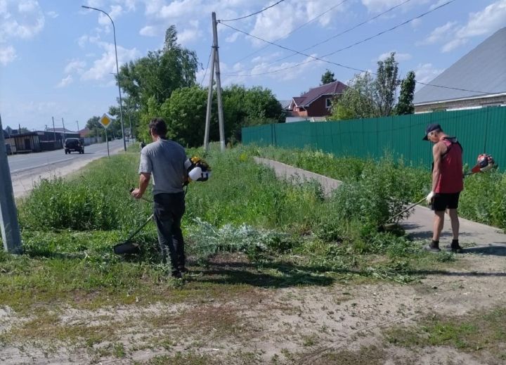 В Лаишевском районе скашивают траву вдоль дорог