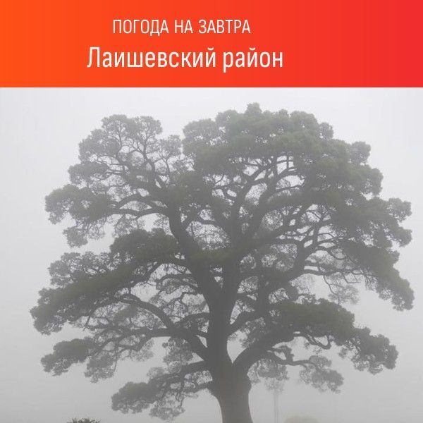 Рассказываем, какая будет завтра погода: дождь, град, туман