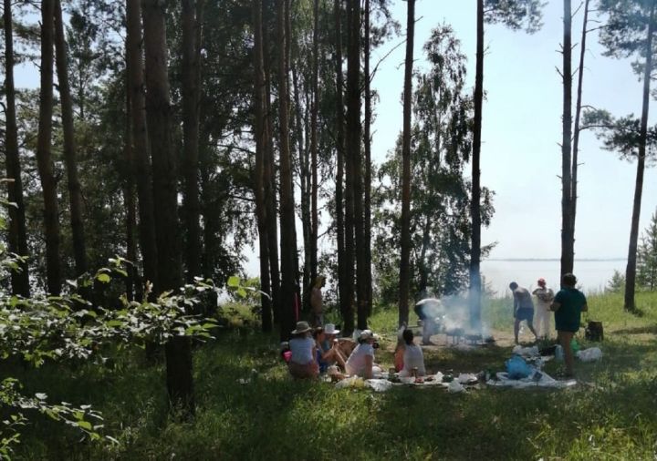 В Лаишевском районе ведется патрулирование лесов