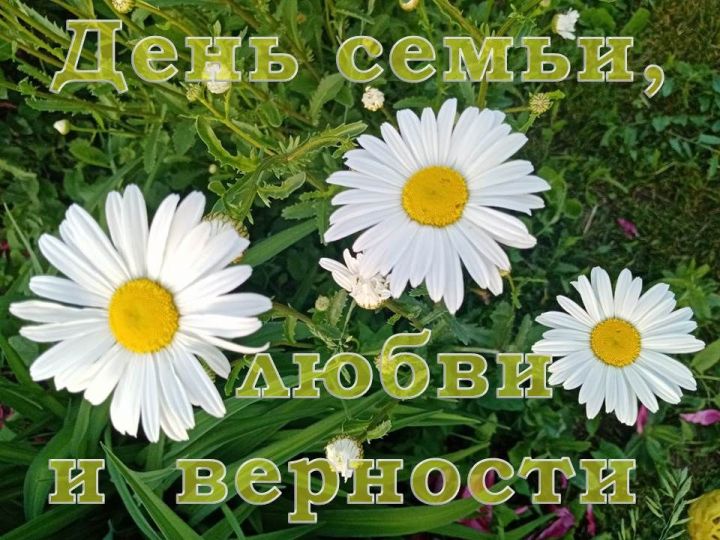 Сегодня вся страна отмечает Всероссийский день семьи, любви и верности