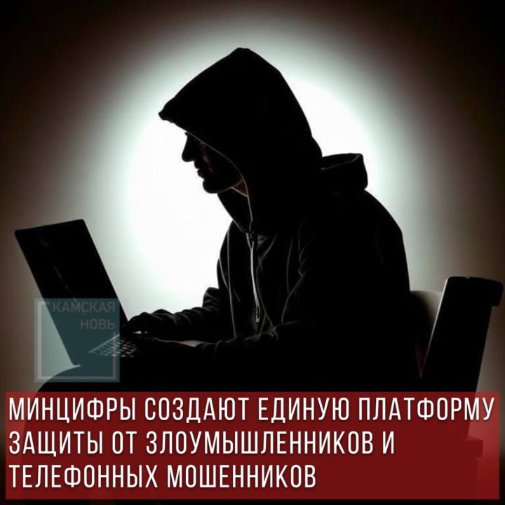 Защитную платформу от мошенников и злоумышленников создадут в Минцифры РФ