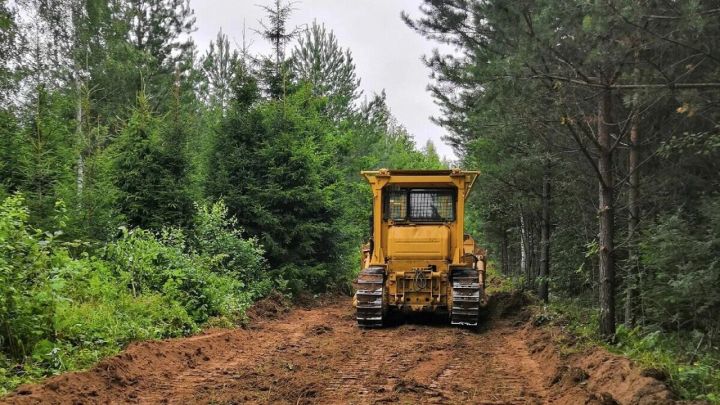 В Татарстане в 2024 году построены почти 100 км дорог противопожарного назначения