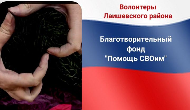 Лаишевские волонтеры просят помощи