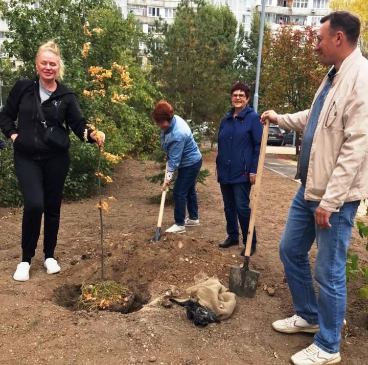 На посадку деревьев выходят жители Татарстана