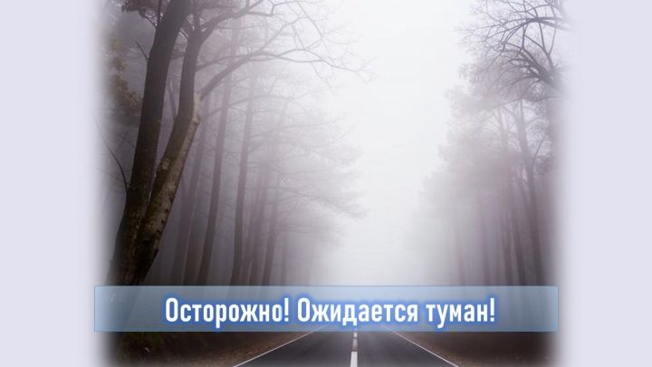 Предупреждение о тумане и сильном ветре в Татарстане