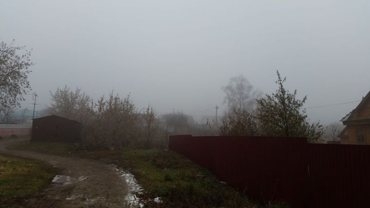 В Лаишевском районе ожидается усиление ветра до 18 м/с