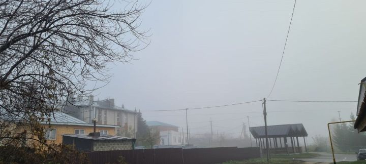 Во второй день календарной зимы в Лаишевском районе ожидается до четырех градусов тепла
