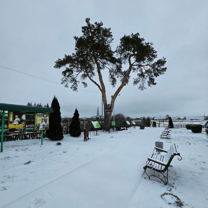 Лаеш районы укучылары Тукай җирләре буйлап сәяхәт иттеләр