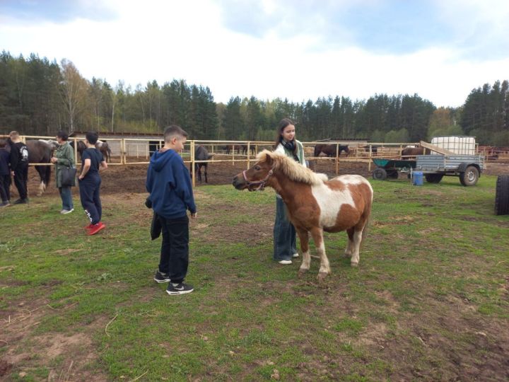 Казанские гимназисты познакомились в Лаишеве с профессией кузнеца