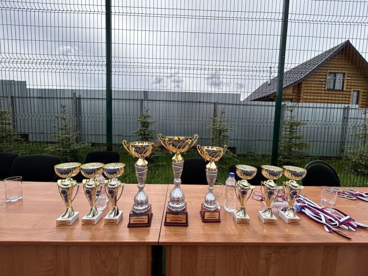 В селе Пелево прошёл турнир по корэш, посвящённый 80-летию Победы!