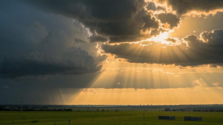 Нужно ли завтра брать с собой зонтик?