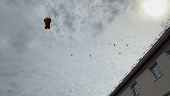 Последний звонок в Лаишевской гимназии №1