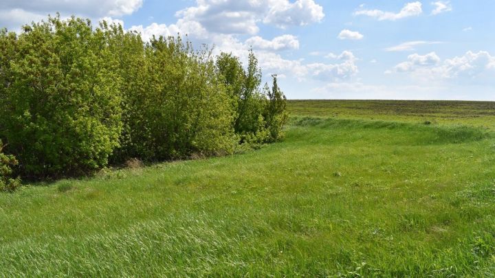 В Лаишевском районе проводится обследование карстоопасности территории