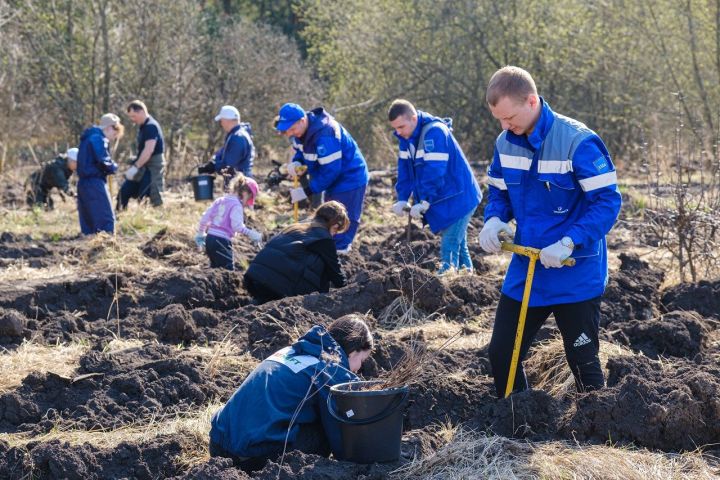 Работники АО «Транснефть – Прикамье» приняли участие в  акции «Сад памяти»