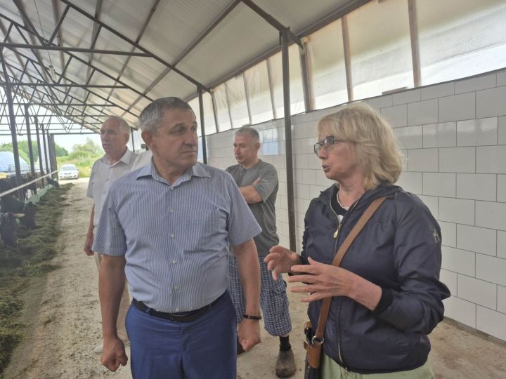 Лаеш районы башлыгы Илдус Зарипов берничә фермер хуҗалыгында булды