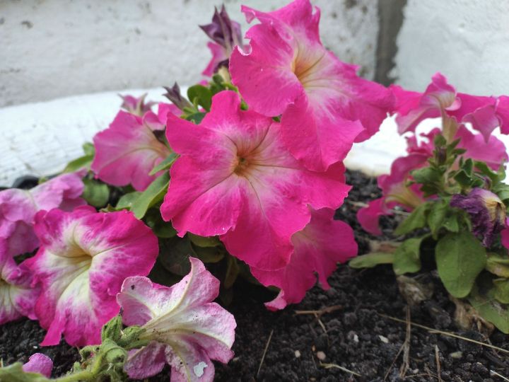 Прогноз  погоды на 9 июня 2025 год