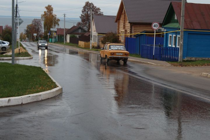 Опять гроза, и дождик льет - Елена Дельмеева о непогоде