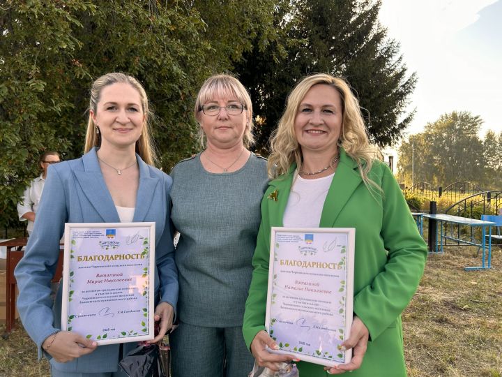 В Чирпах прошёл День села