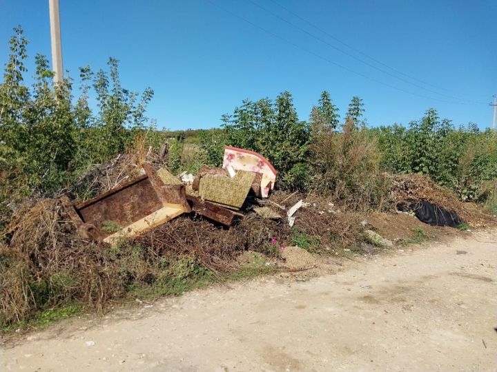 Проблема загрязнения городской среды: безответственность или равнодушие?