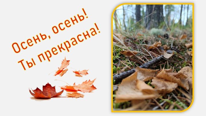 Очей очарованье — бабье лето
