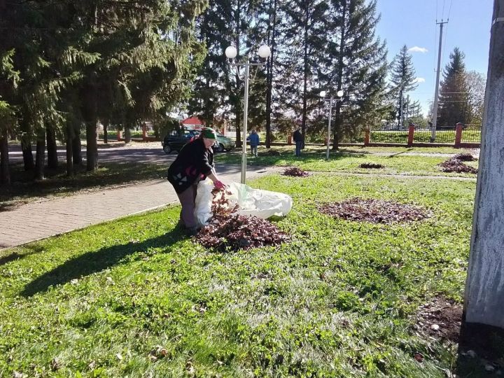 Урта Девятово урамнарында көзге шимбә өмәсе узды